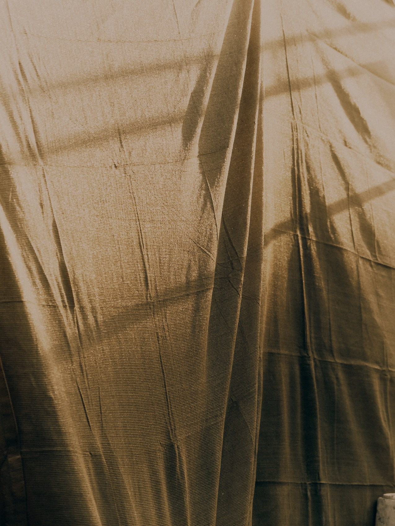 Other. DISEMICHASNOVA