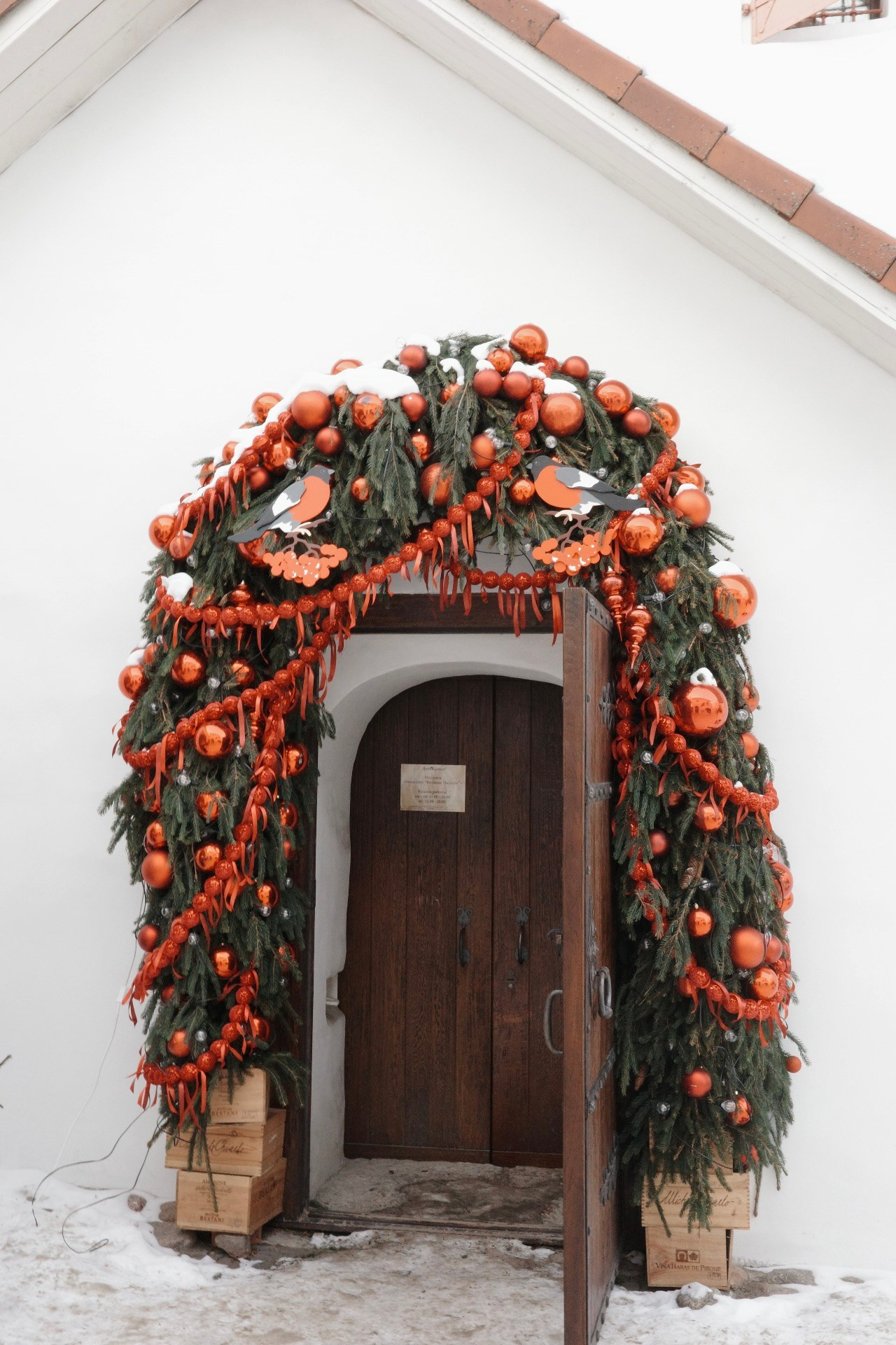 Псков. Фотографъ Сергѣевъ. Поймать мгновеніе