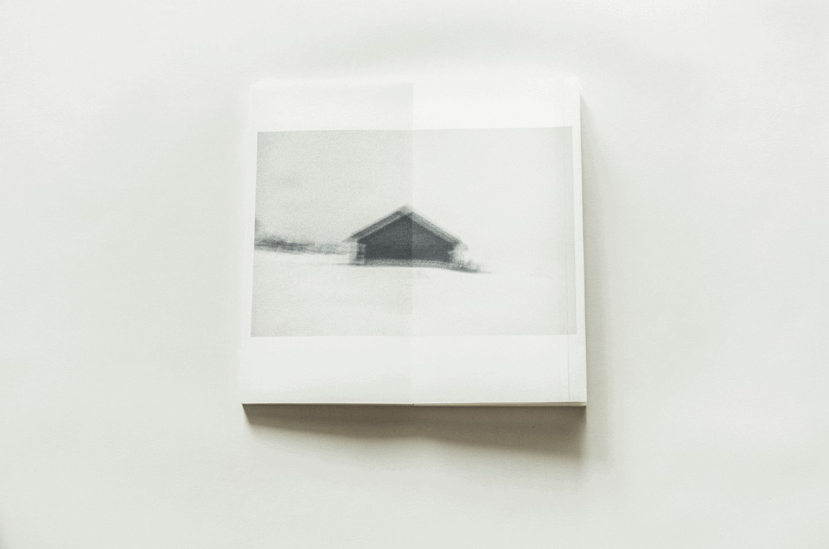 Summer Shore. Vitaly Severov