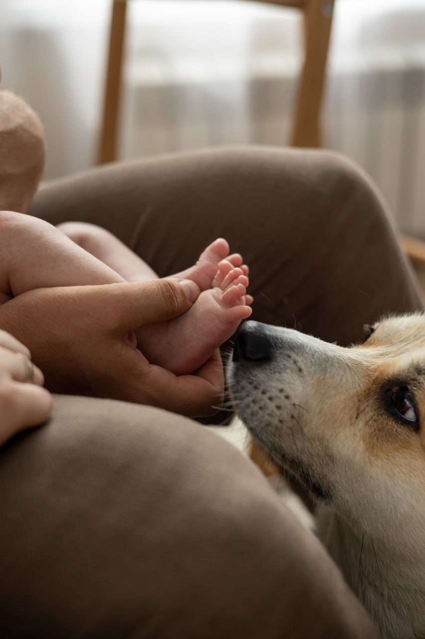 Лавстори. Фотограф новорожденных Воронеж