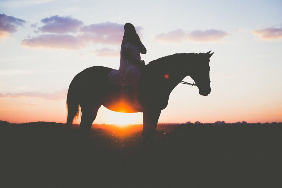 Фотосессия с лошадью, с лошадьми, лошади, силуэт, тень