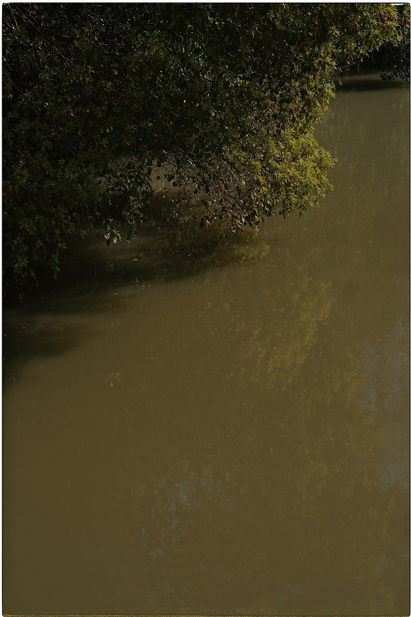 Китай. Портретный и репортажный фотограф в Санкт-Петербурге Дарья Сибирякова