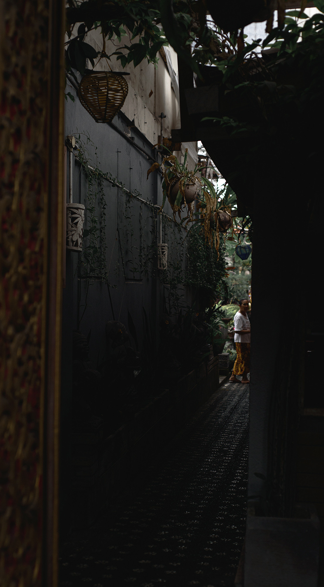 Атмосферные фотографии природы. Фотограф Москва Андриевский Максим, обучение фотографии