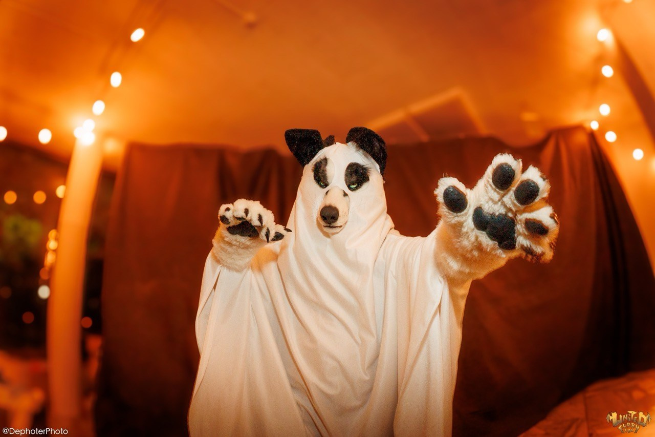 United Furry Convention 2026. Различные мероприятия и просто фотографии людей