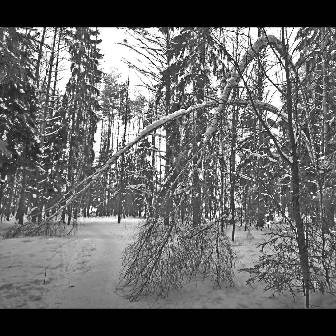 Фотоальбом с разными съёмками