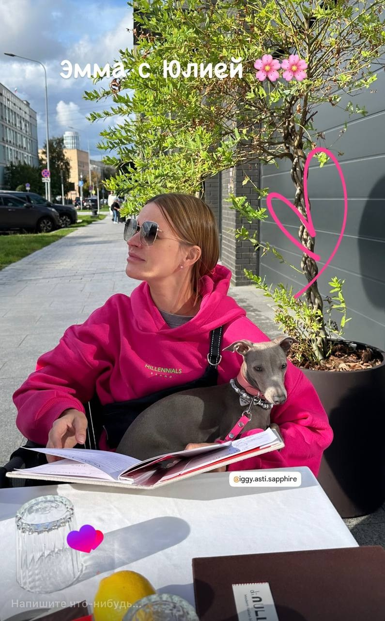 Празднуем дни Рождения. Профессиональный питомник левреток РКФ/FCI ASTI SAPPHIRE 💎 Сочи|Санкт-Петербург