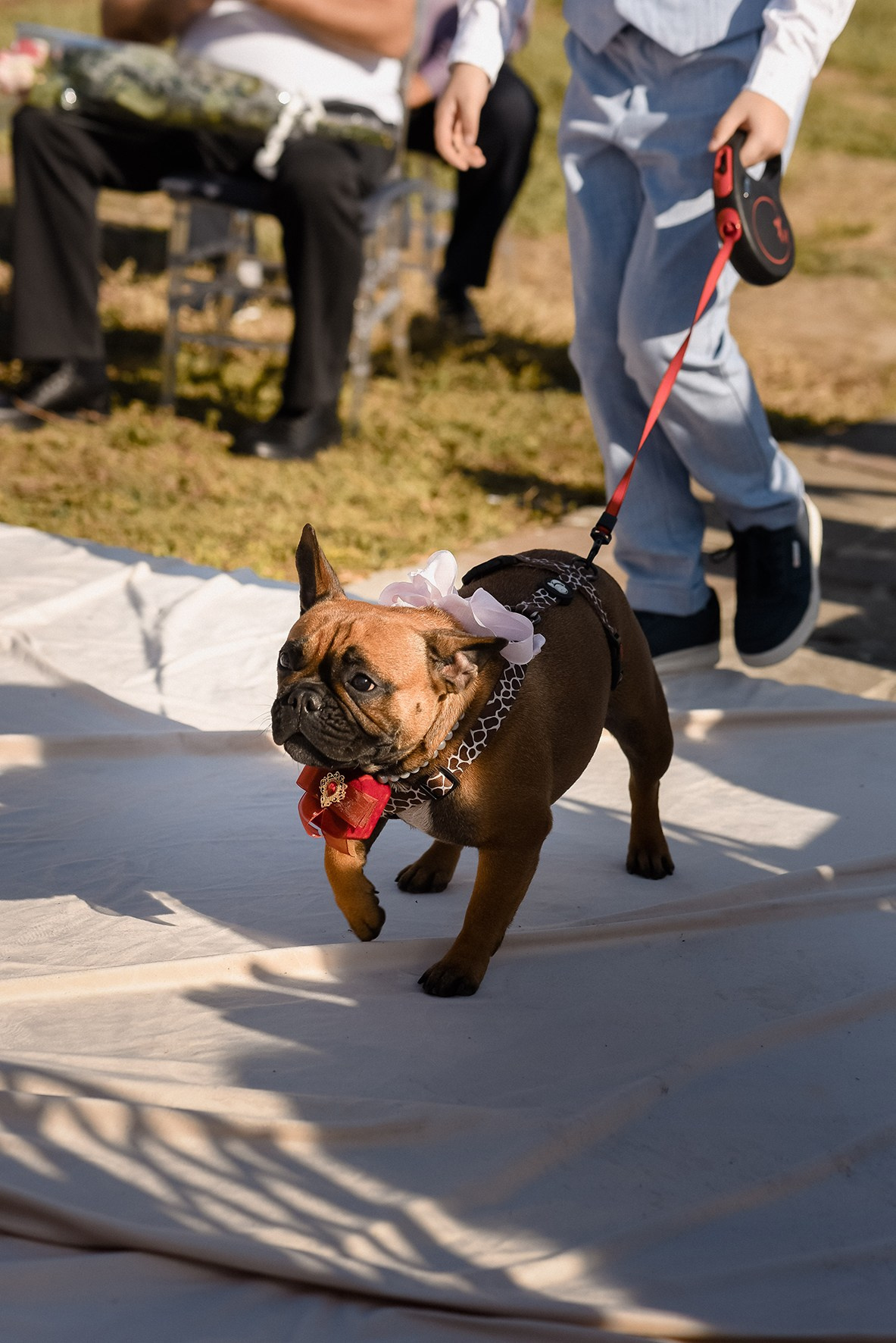 Валентина и Александр. Свадебный и семейный фотограф в Ростове-на-Дону Елена Сторожок