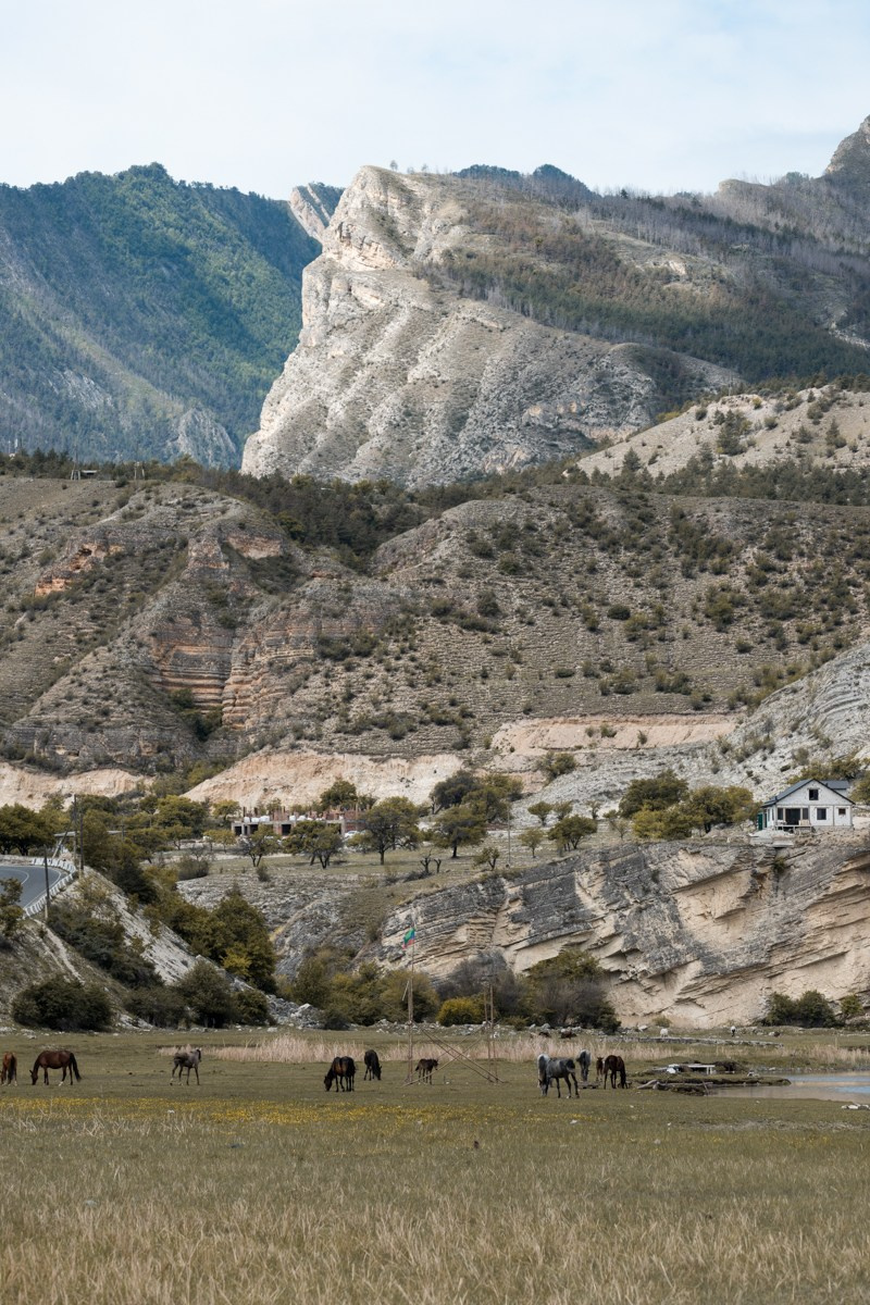 Горы. Photomantis