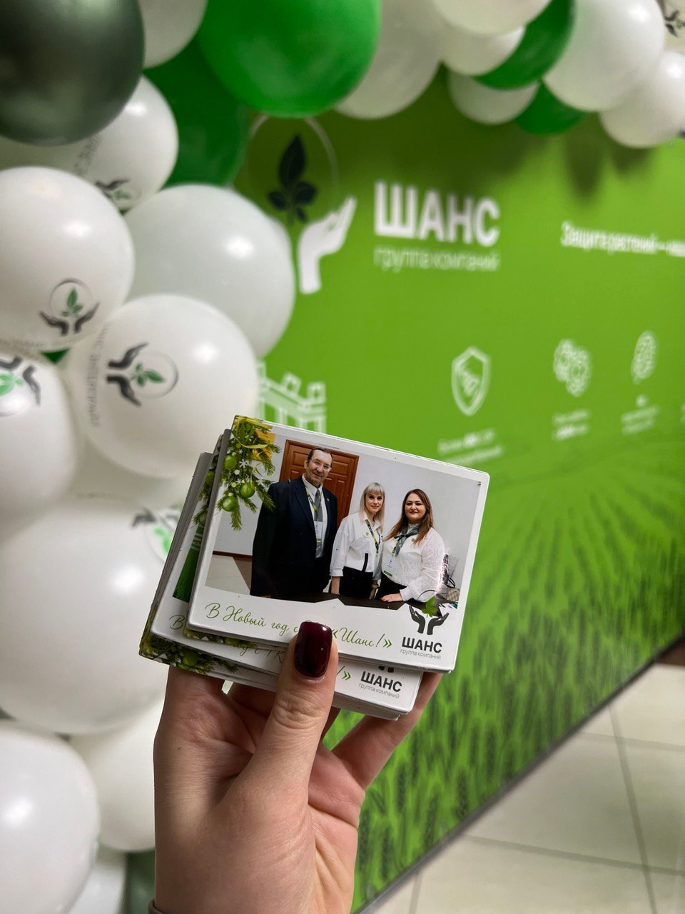 Фотомагниты