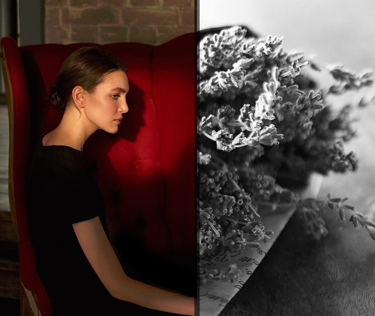 Portraits. Sia Levine Design