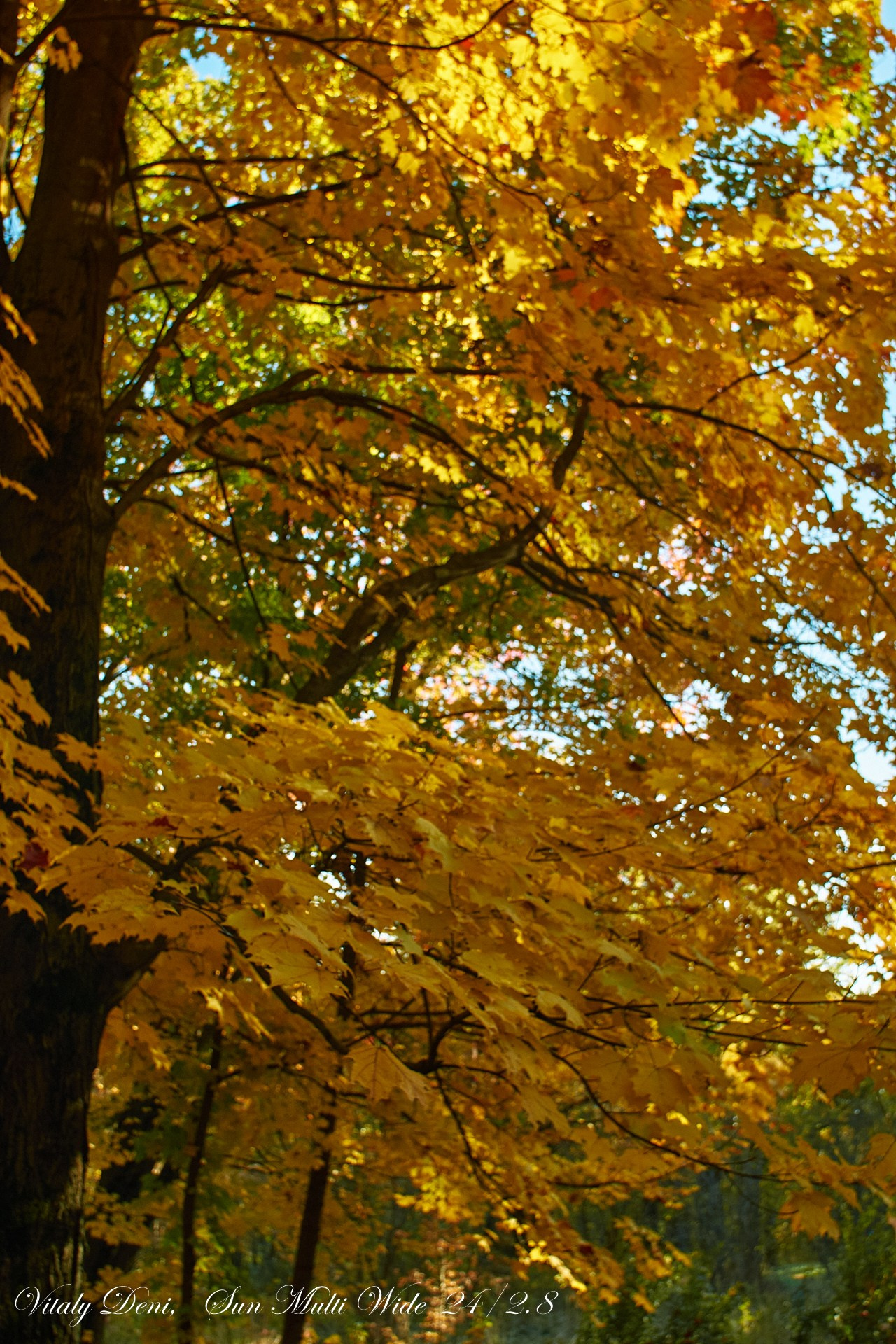 Унылая пора! Очей очарованье!. Сайт фотографа Виталия Дени