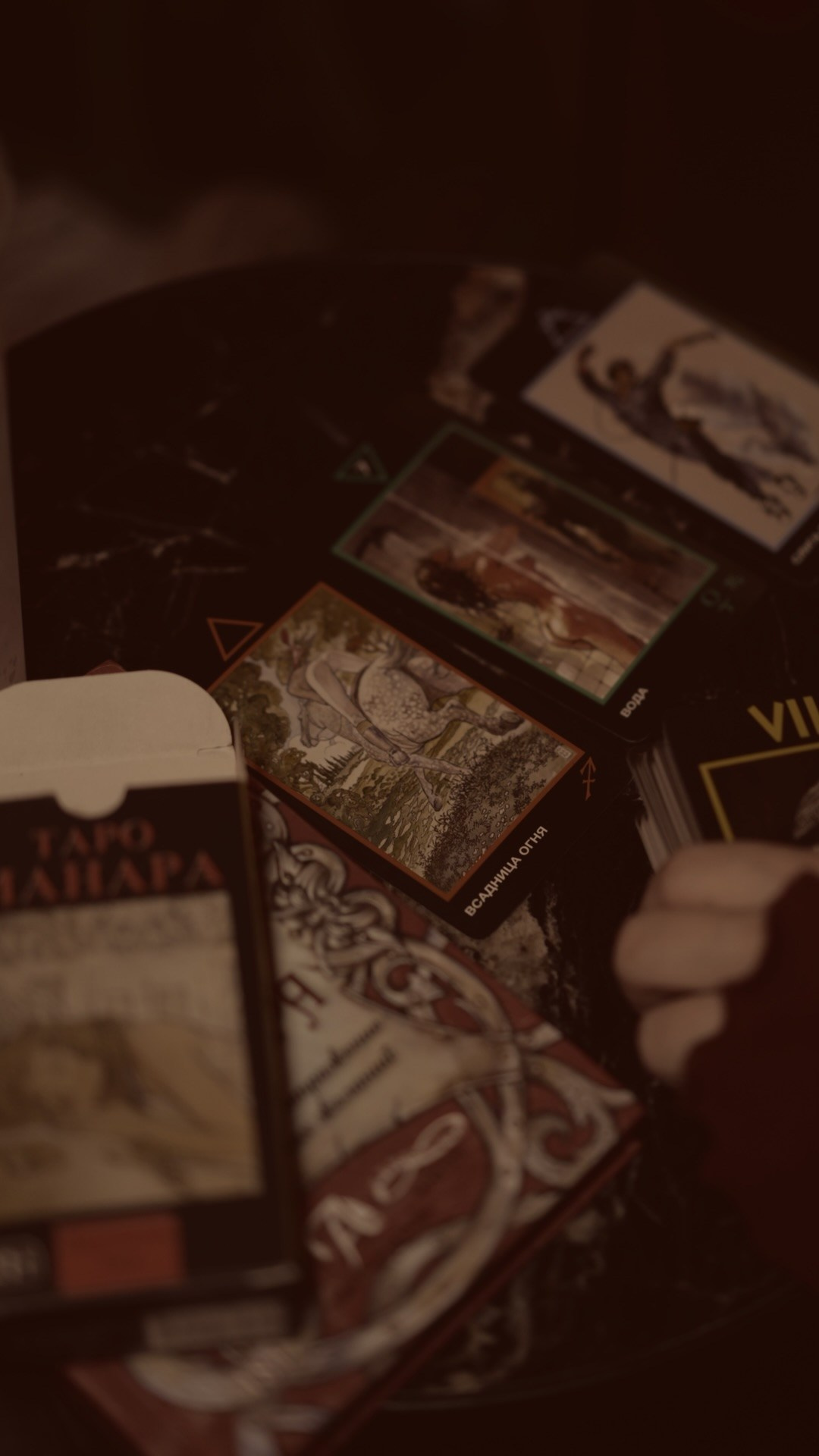 SОФИТЫ | 03.11. Фотограф, оператор и рилсмейкер в Москве — Ася Палагута