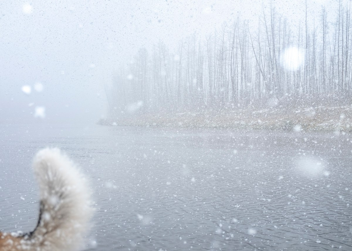 Атлас первого снега серия фотографий. Елена Аносова — художница и исследовательница, куратор и лектор