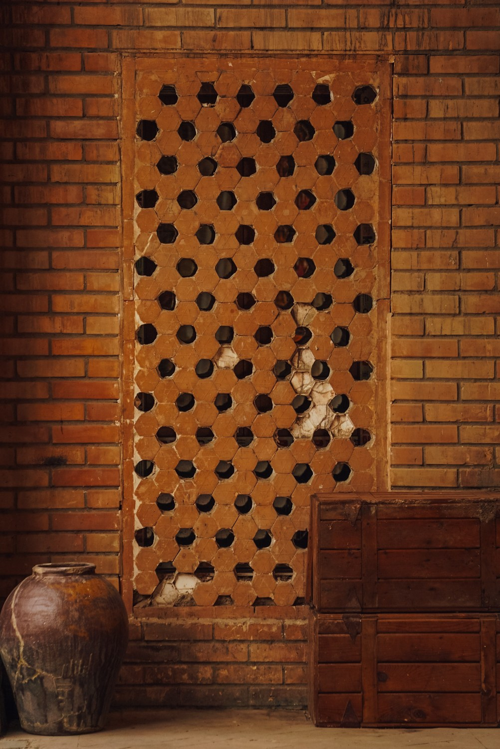 Индия. Живые снимки! Фотограф Даша Бендер