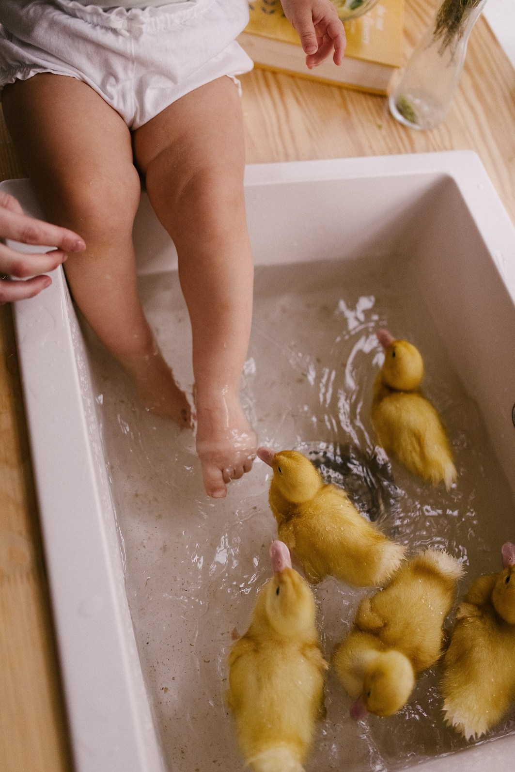 Фотосессии с утятами. Семейный фотограф в Москве Екатерина Денисенко | Фотосессии без постановки дома и в студии