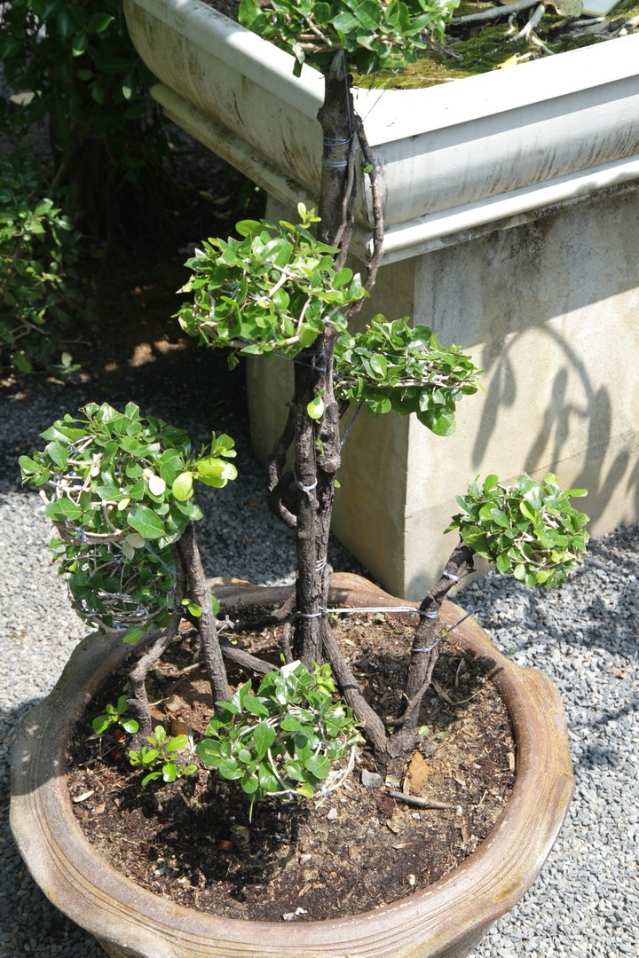 Тайланд 2014 г. Улица, люди, жизнь…