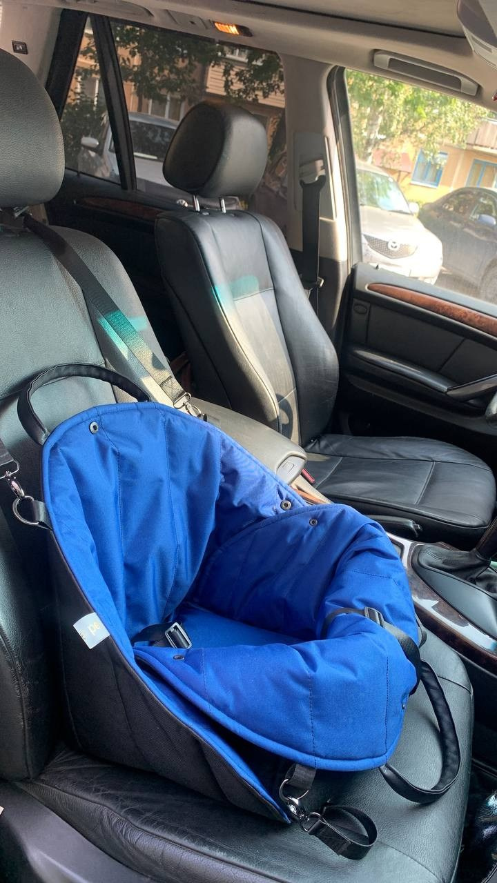 Путешествия. Профессиональный питомник левреток РКФ/FCI ASTI SAPPHIRE 💎 Сочи|Санкт-Петербург