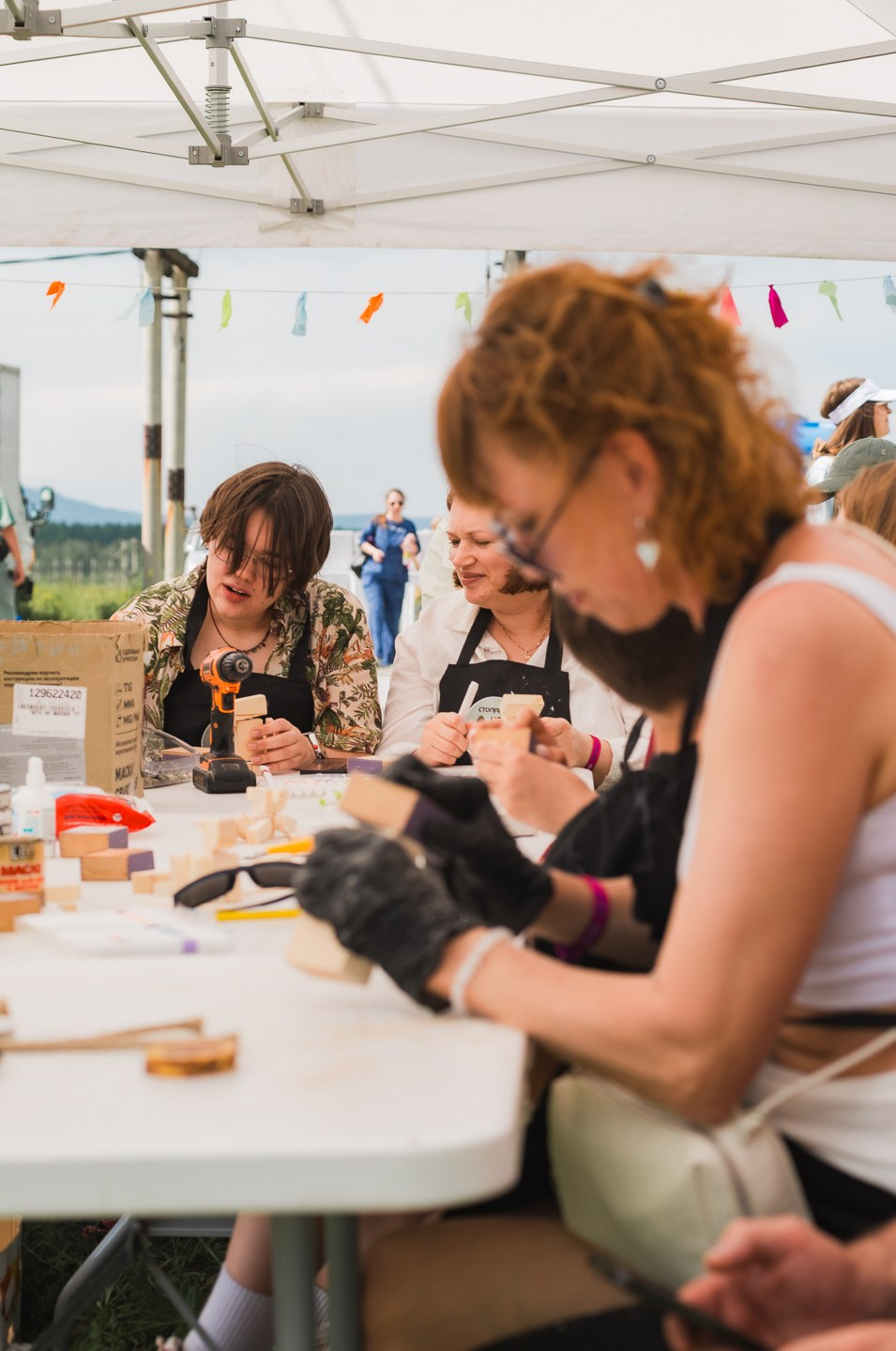 Музыкальный фестиваль СТЕПЬ 2026. Профессиональный пейзажный фотограф Новокрещенов Станислав