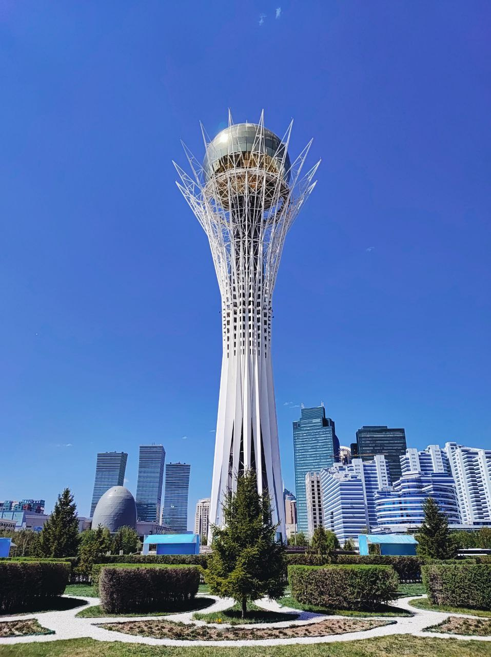 Намобилкус казахский. Репортажный фотограф Алексей Пирязев