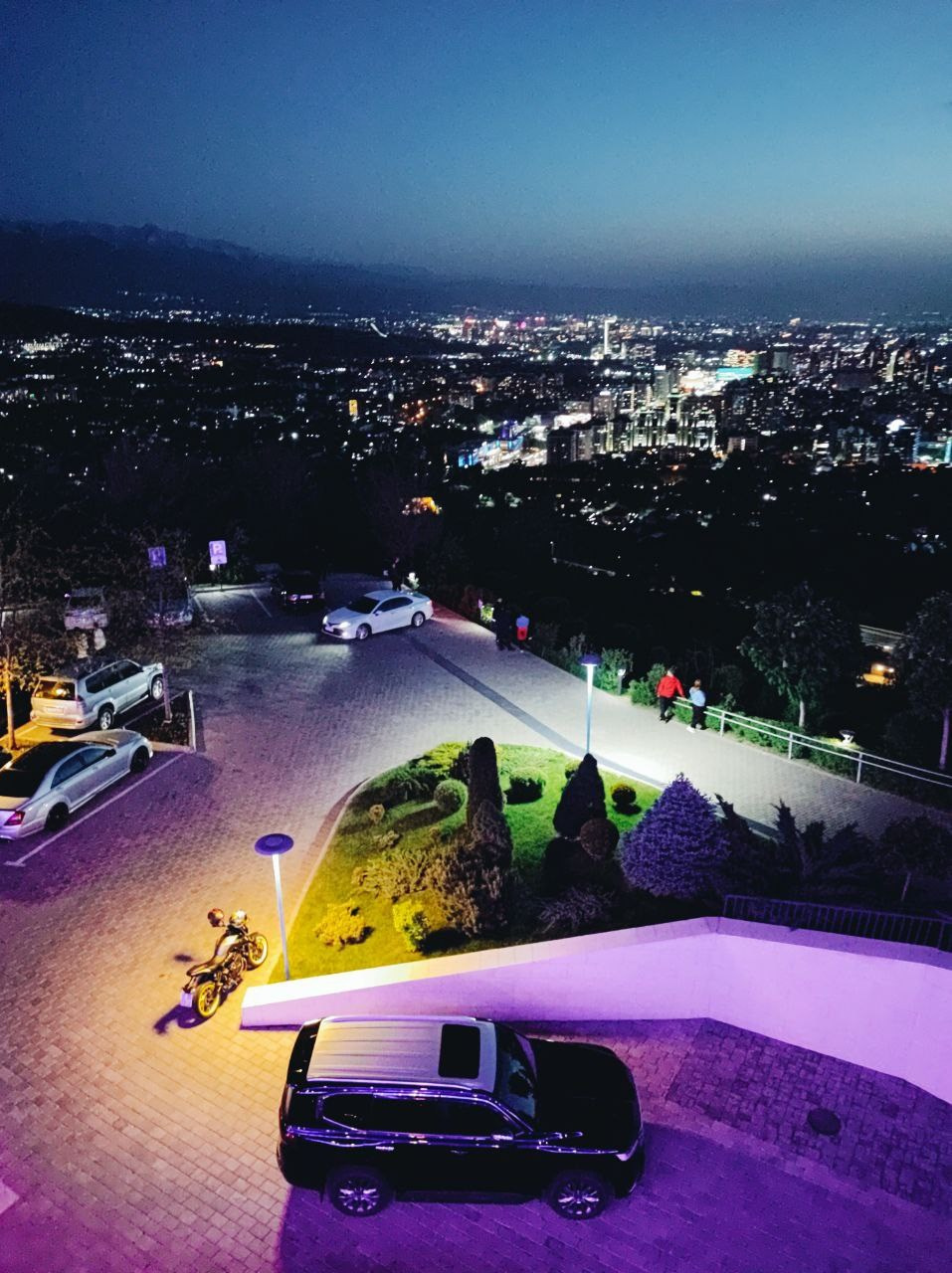 Намобилкус казахский. Репортажный фотограф Алексей Пирязев