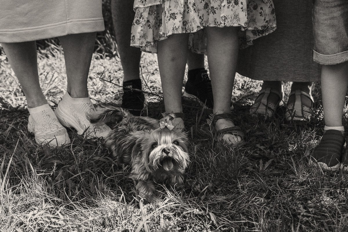 СЕМЬЯ. АЛЕКСАНДР ФОКС