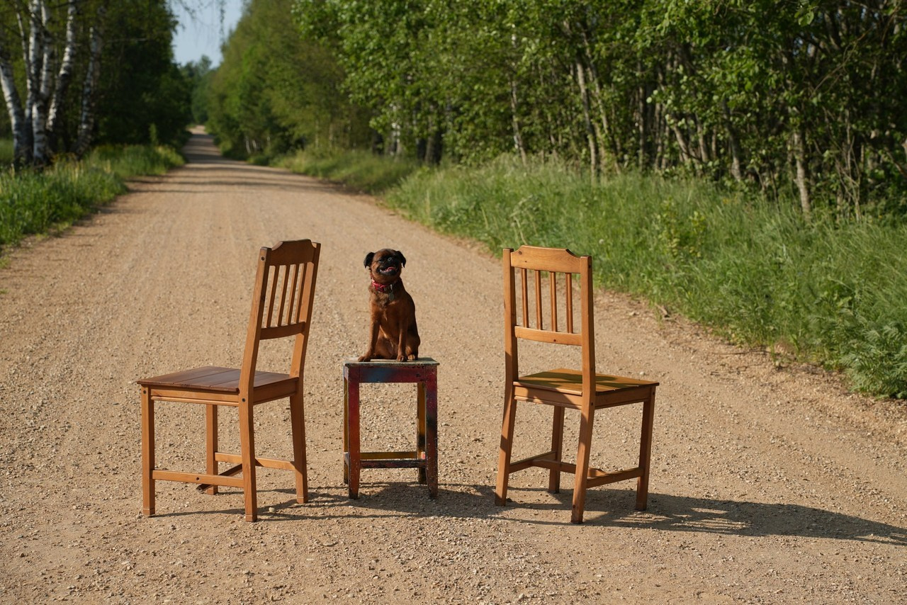 Отзывы. Главная