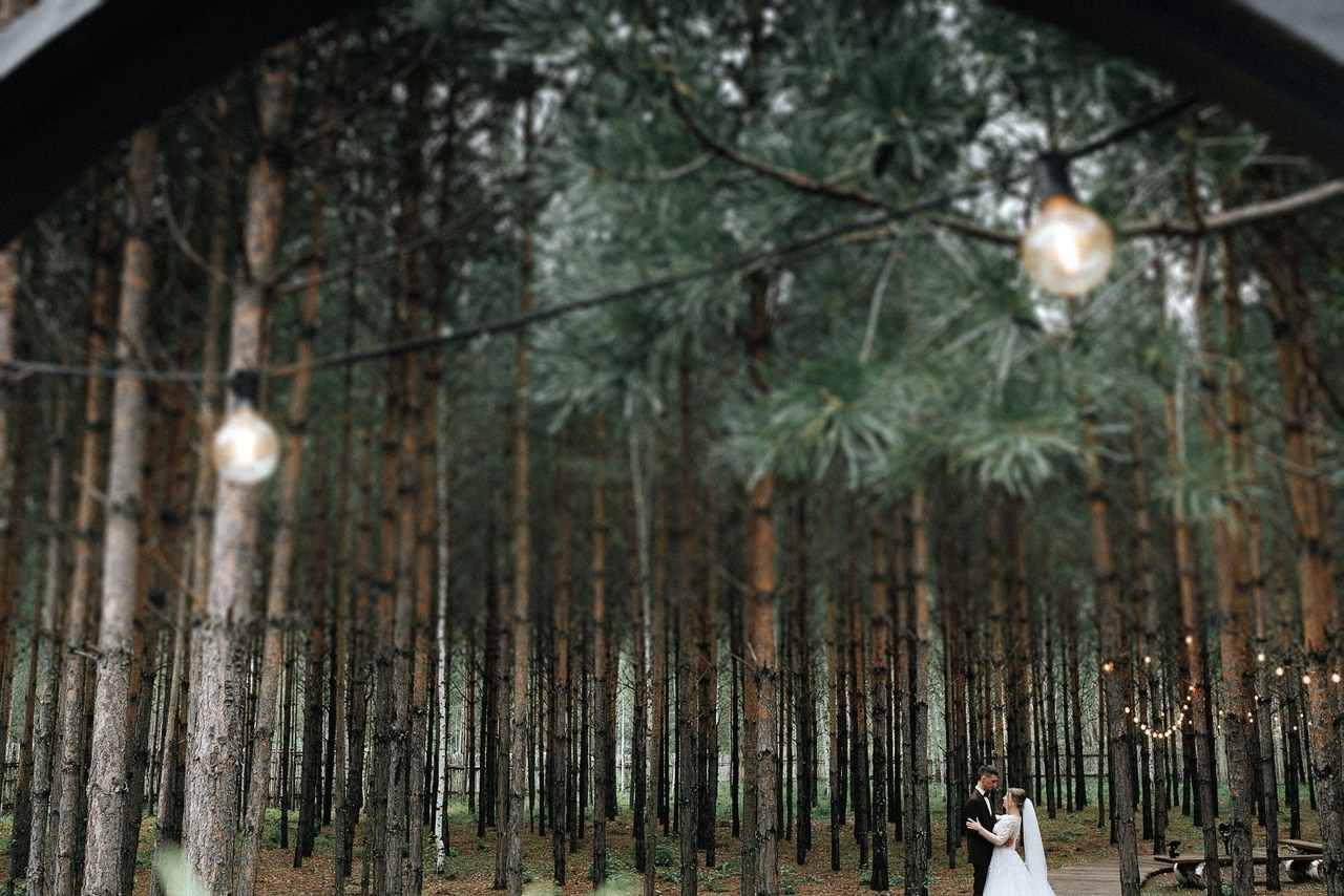 Отзывы. Свадебный и семейный фотограф Барнаул Рубцовск Бийск Алтайский край