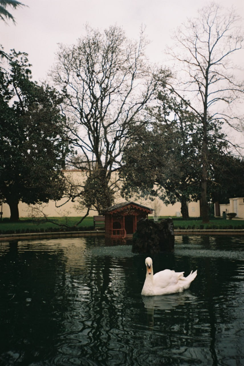 Плёночные воспоминания. Портретный и коллажный фотограф из Москвы