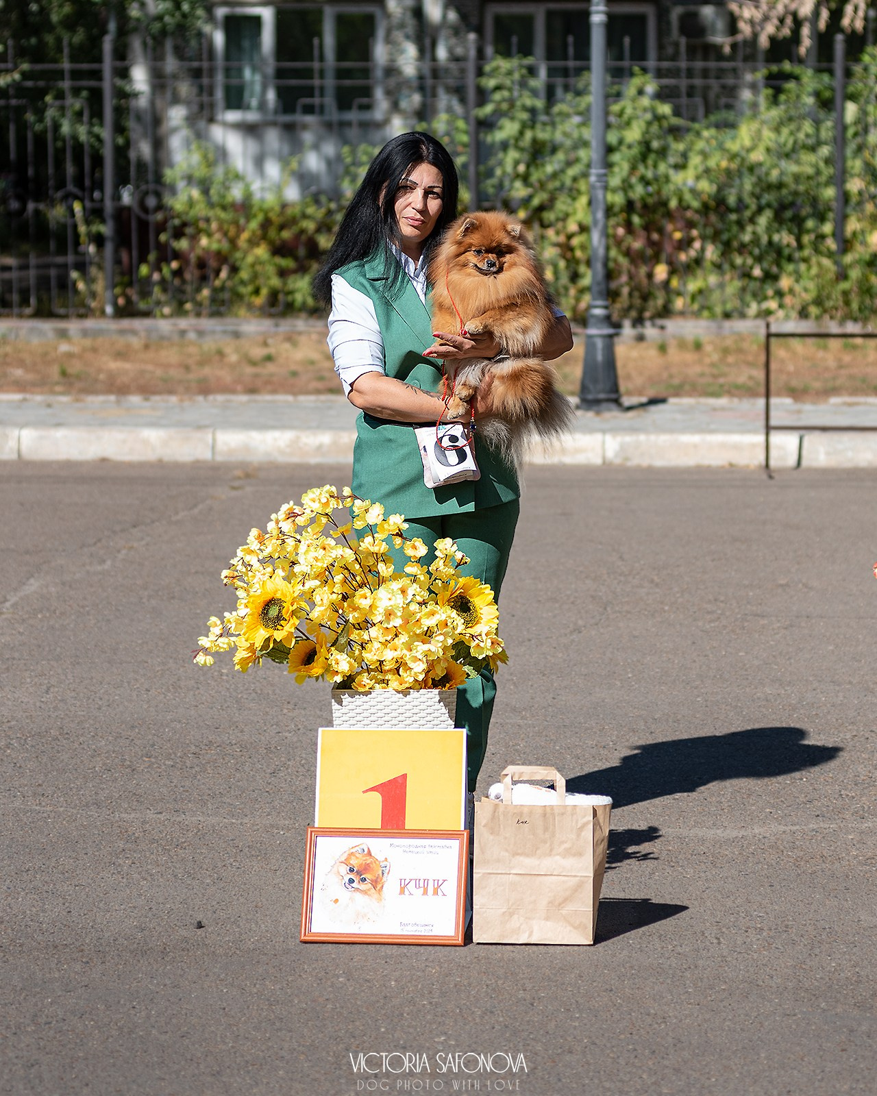 15 сентября 2024. Благовещенск. Монопородная выставка шпицев. Фотограф анималист Благовещенск. Сафонова Виктория