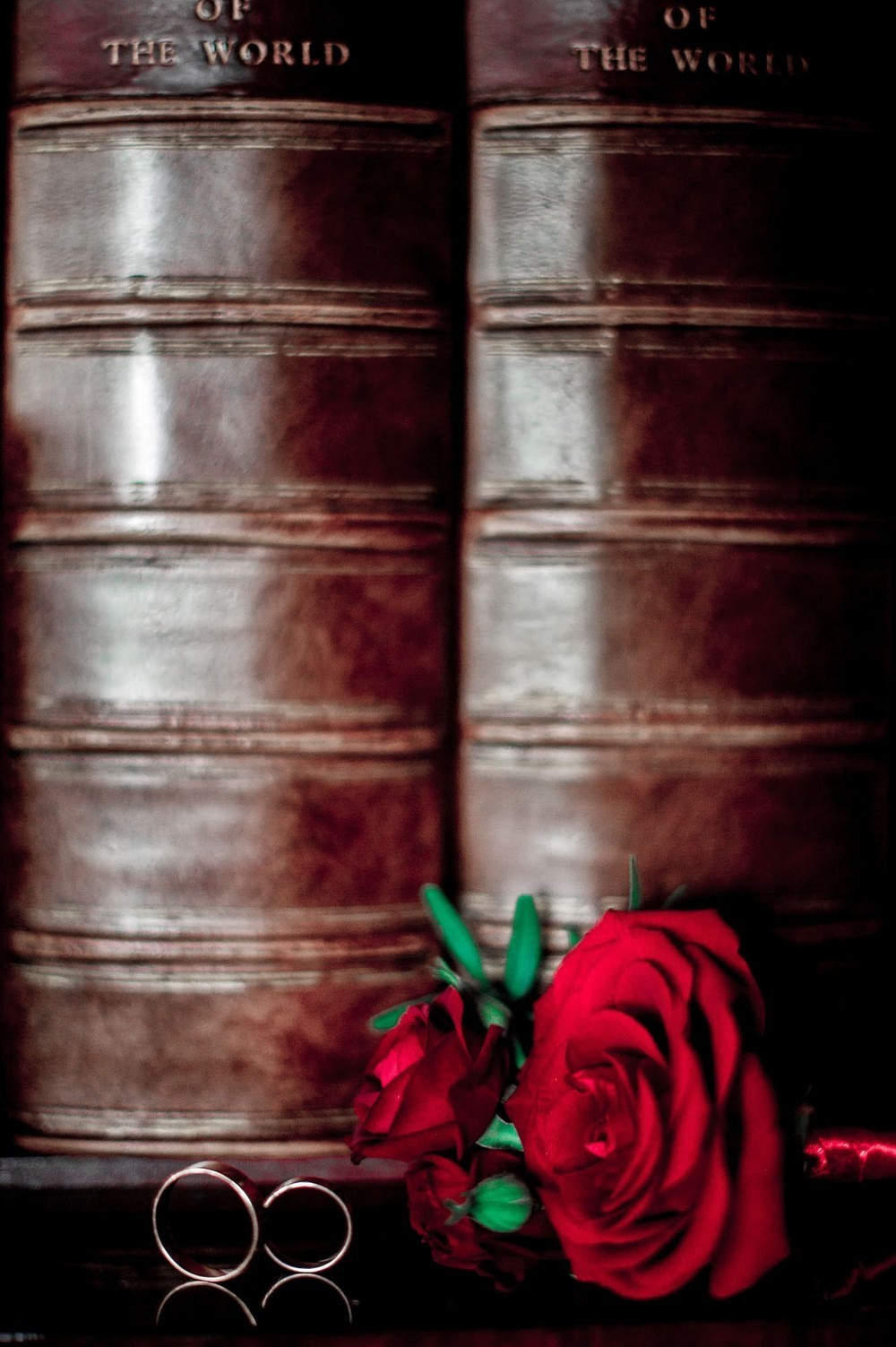 Артем & Екатерина. Свадебный фотограф Калининград - Александр Зубанов