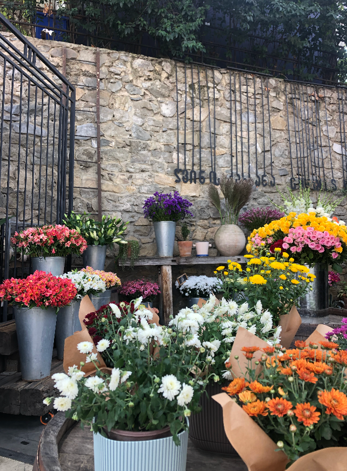 Тбилиси❤️🇬🇪. Anita_photo