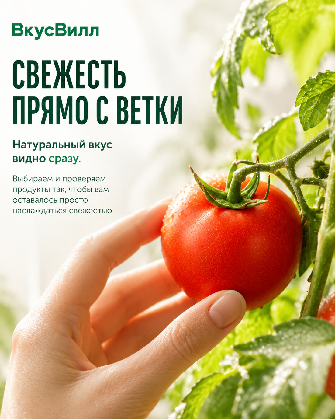 Создание рекламных баннеров еды с помощью ИИ. Промо-креативы для ресторанов и доставки. Фуд фотограф Москва Евгений Литвинов.Продающий контент для ресторанов, кафе и служб доставки HORECA