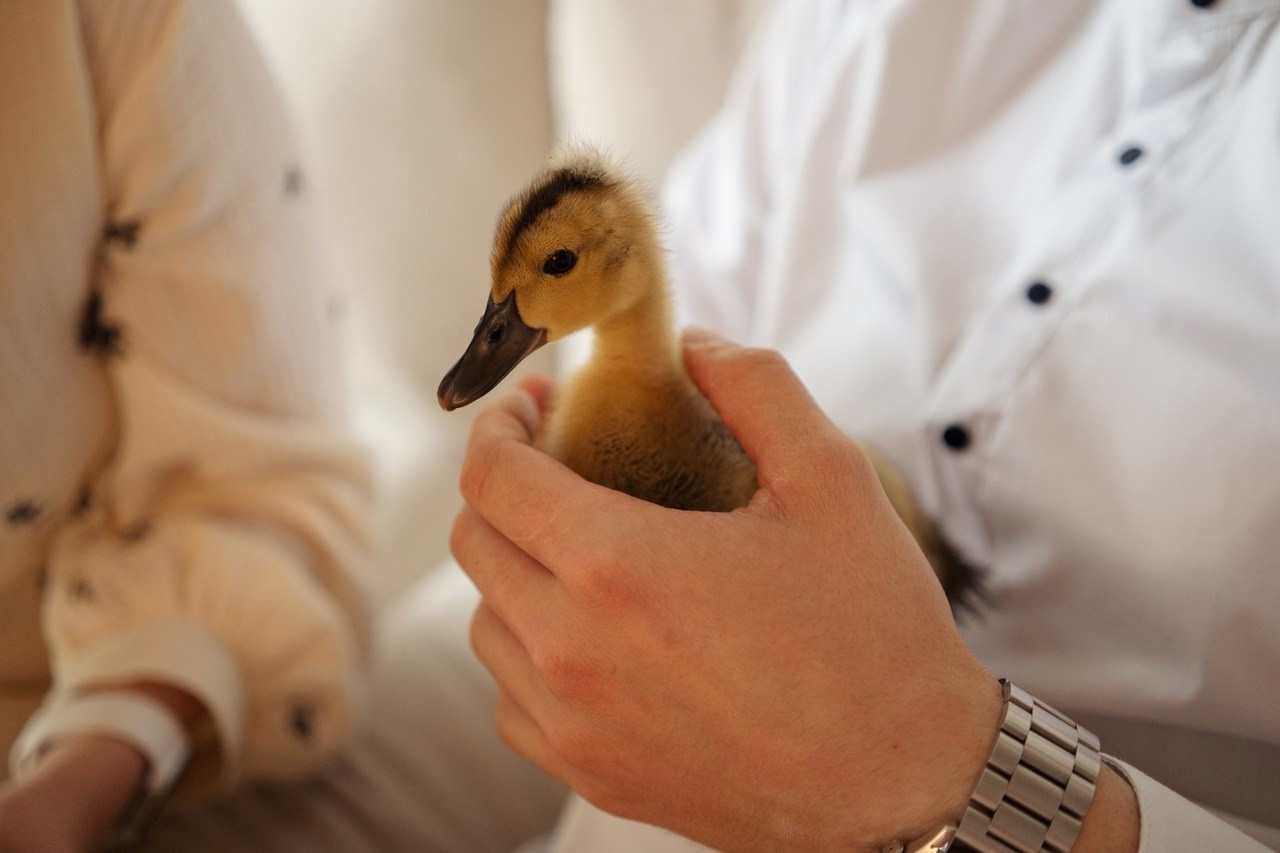 Екатерина, Даниил и Мирон. Семейный и детский фотограф в Санкт-Петербурге Татьяна Горохова