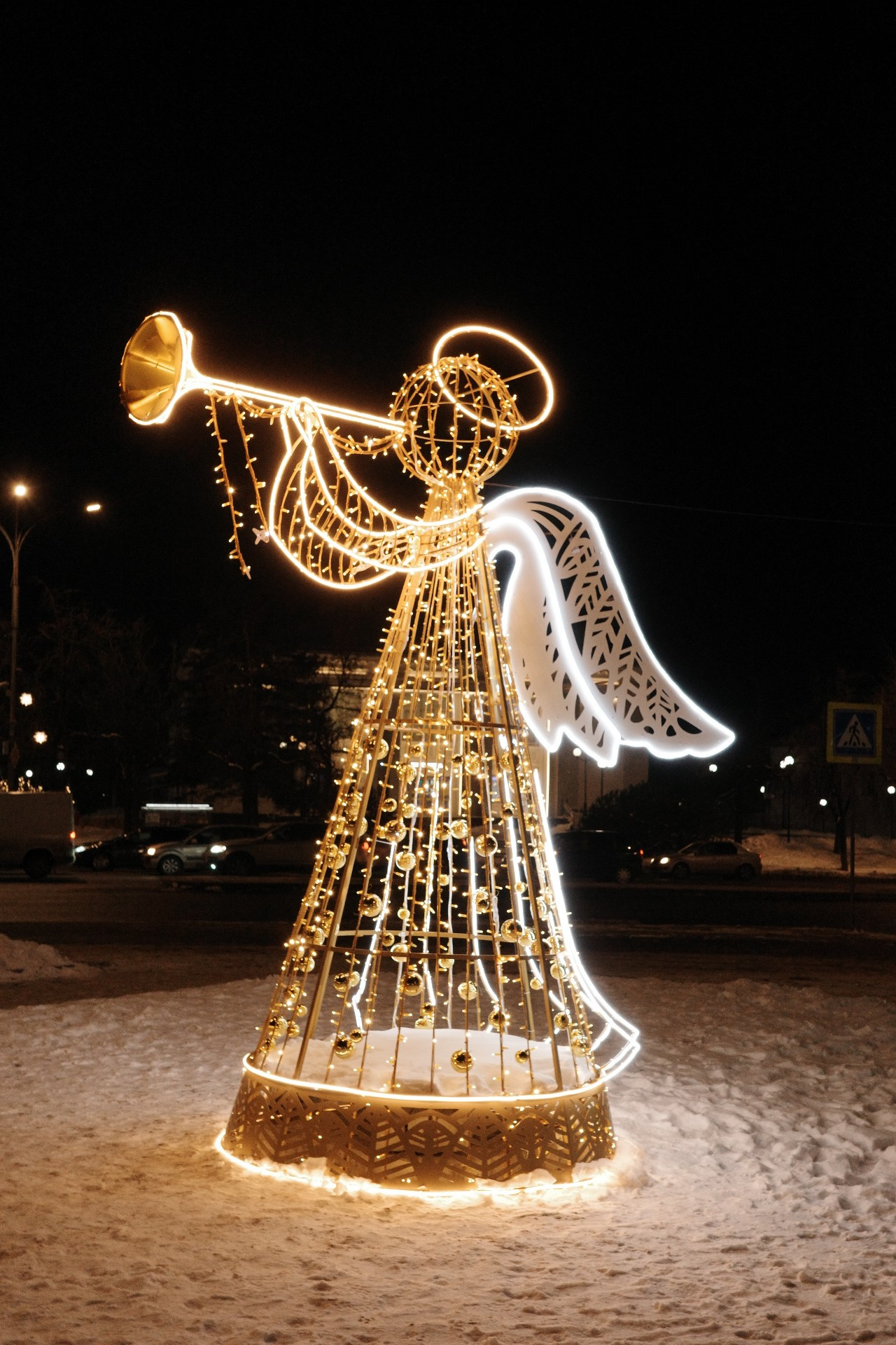 Псков. Фотографъ Сергѣевъ. Поймать мгновеніе