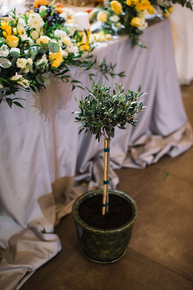 Елена и Евгений