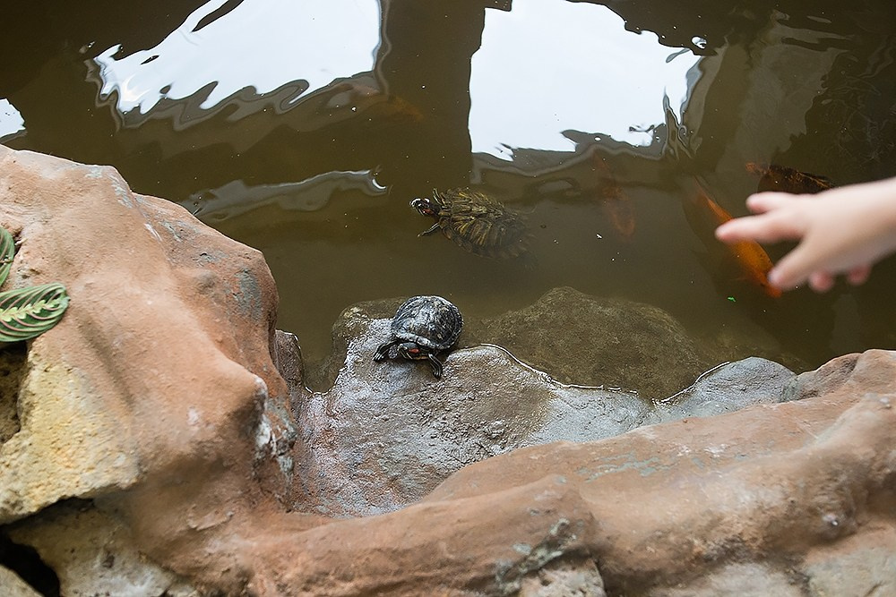 Благотворительный показ ТЮЗ. Детский и семейный фотограф, фотограф мероприятий Нижний Новгород