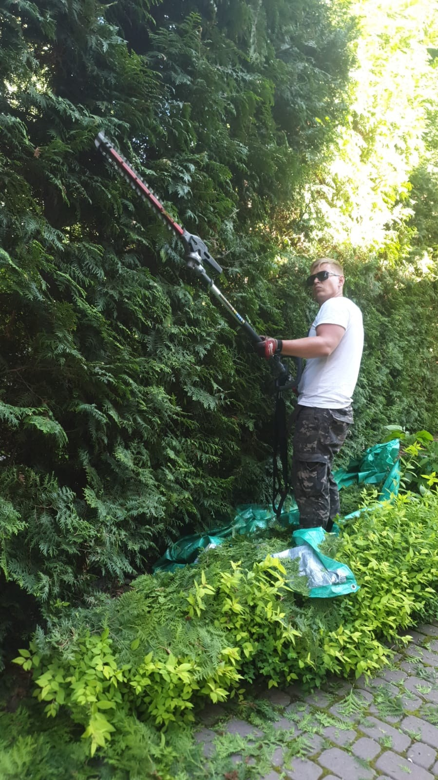 Топиарная стрижка. Все виды ландшафтных и строительных работ