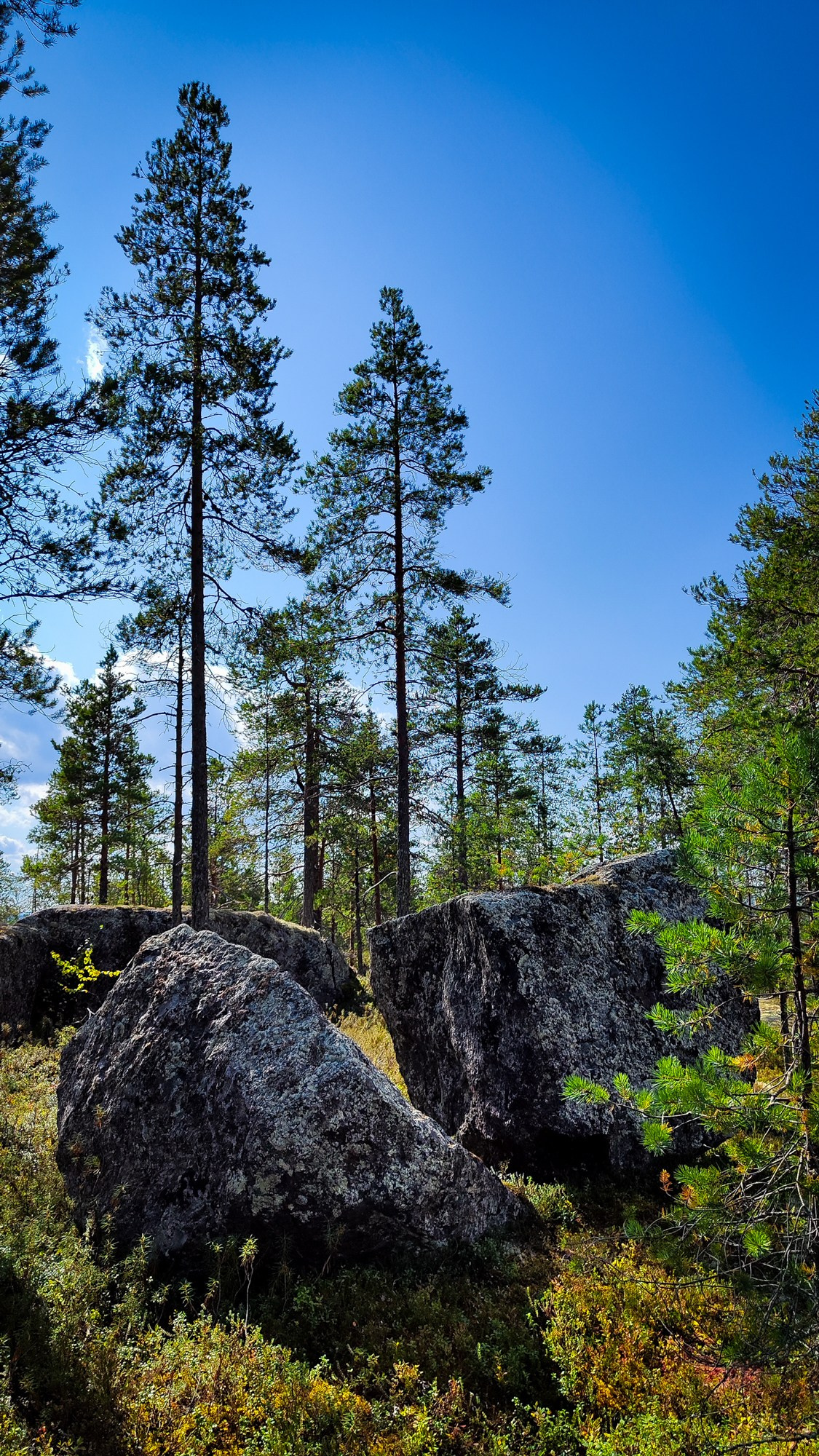Репортаж с ретрита. Фотограф Ксения Соло