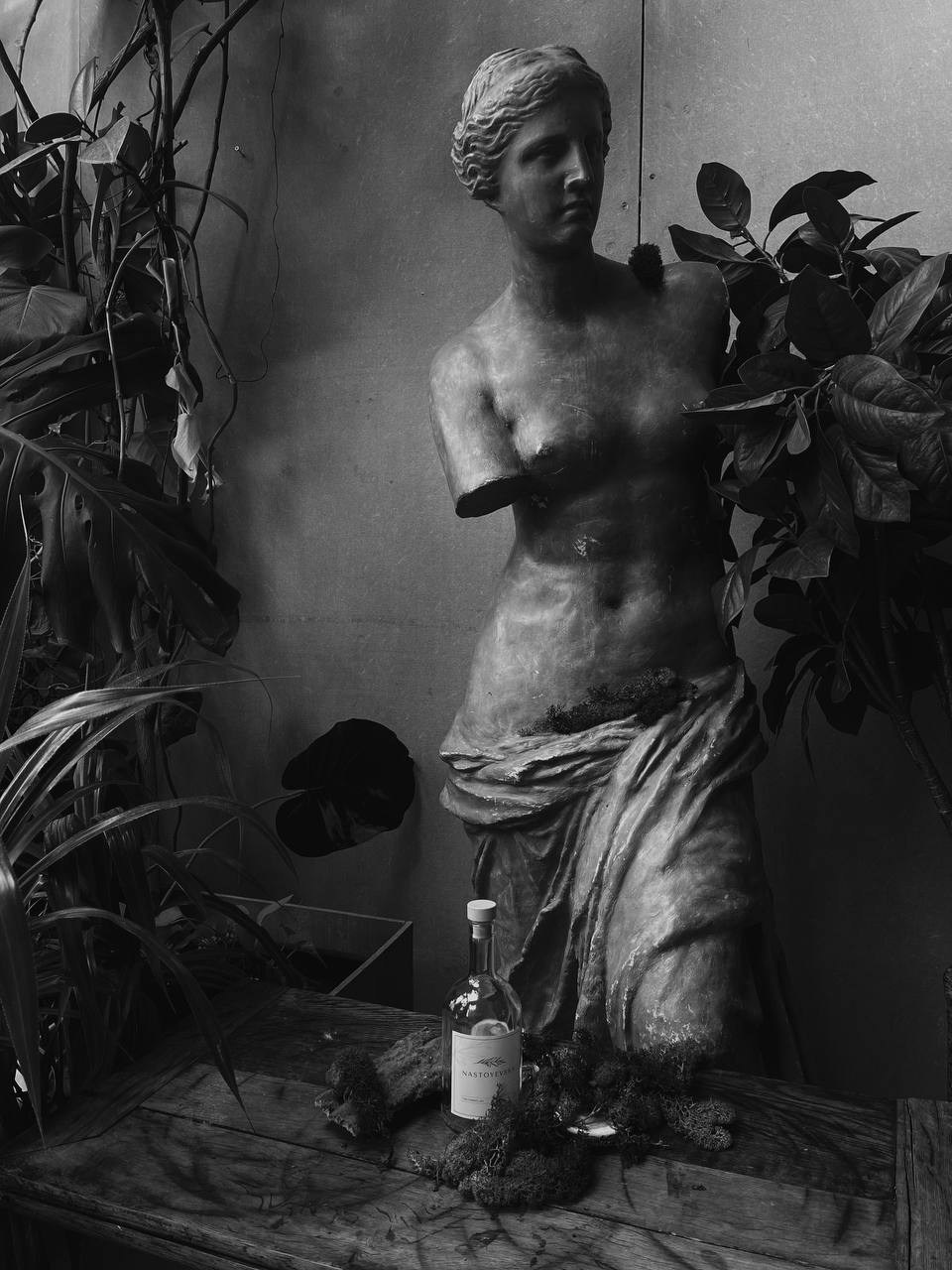 Nastoyevsky. Anastasiabraga.sheisart