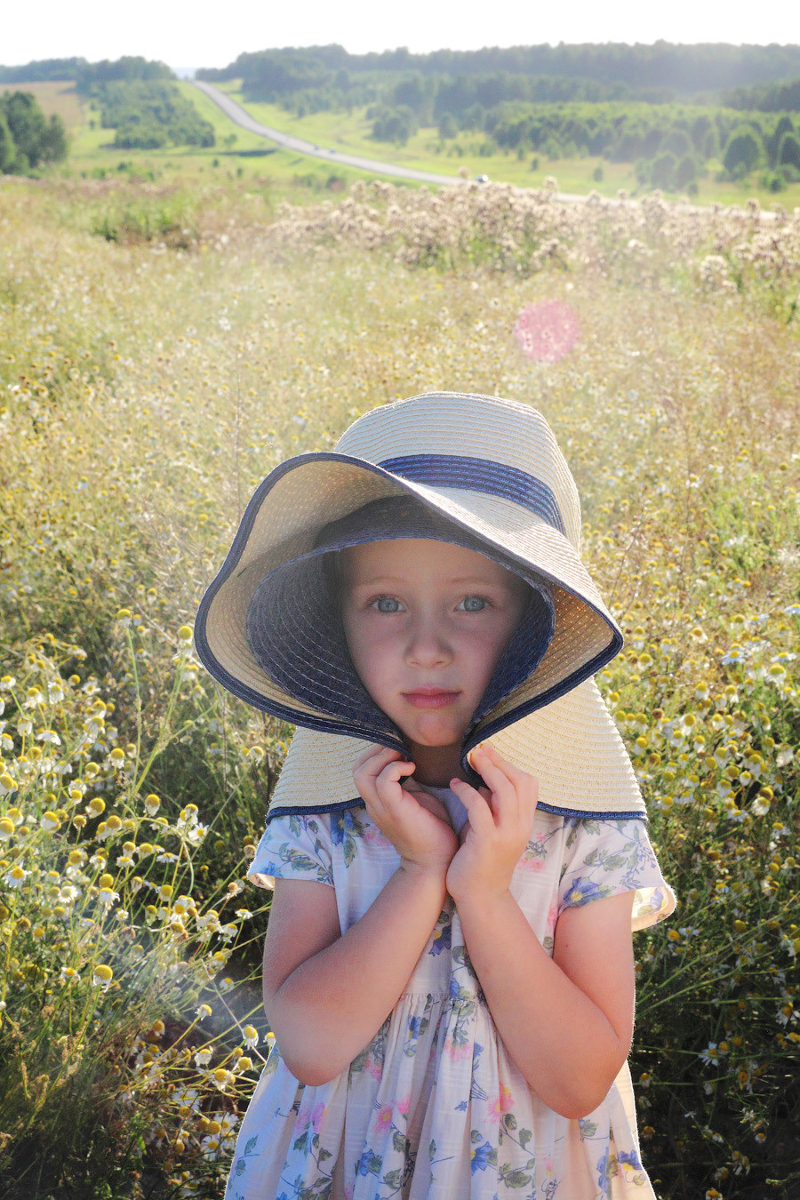 В ромашковом поле). Фотограф Ирина Колесникова