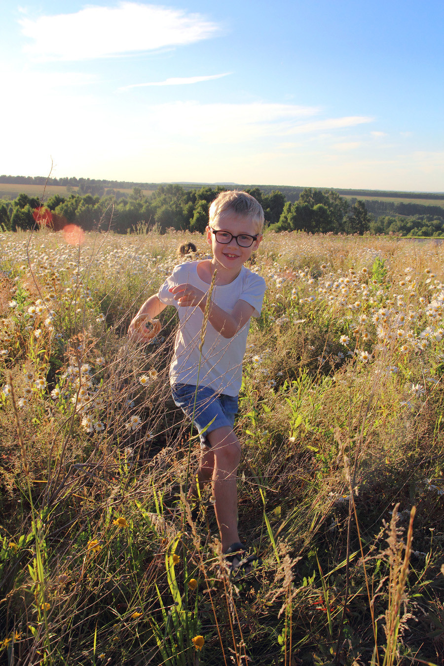 В ромашковом поле). Фотограф Ирина Колесникова