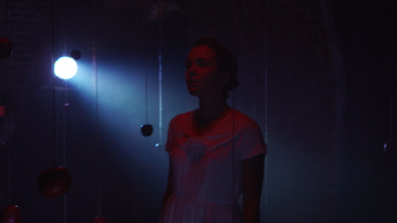 Красное дерево. Фото / Видеосъемка в Москве