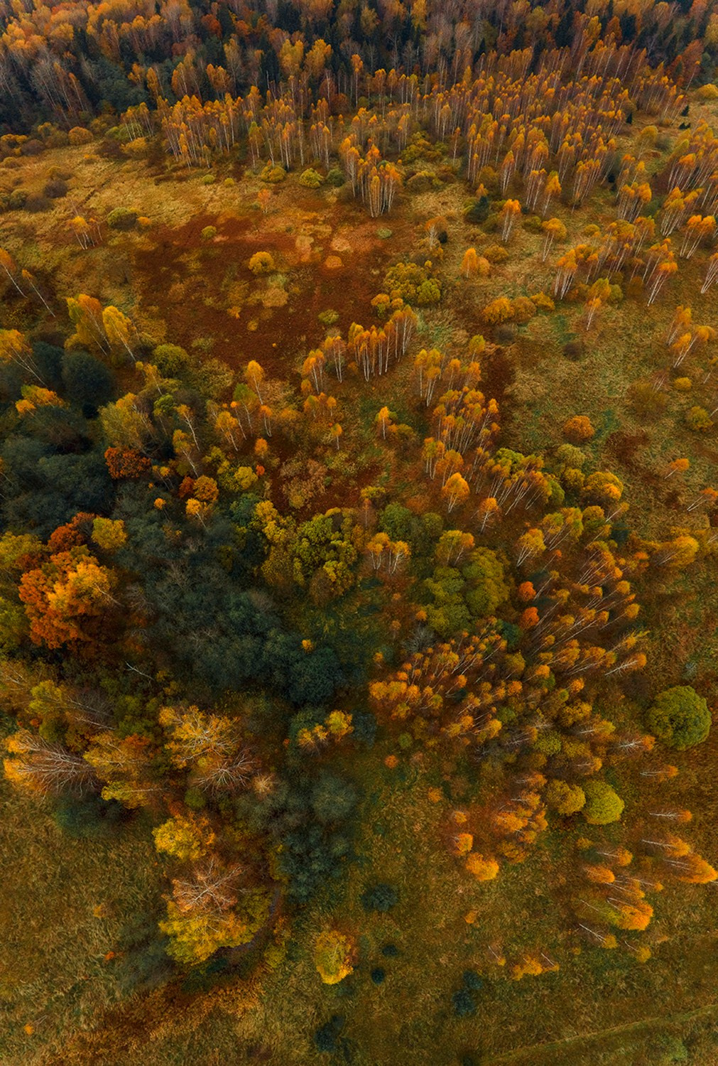 Архитектура. Пейзаж. Детская Конная фотография в Москве Юлия Шепелева