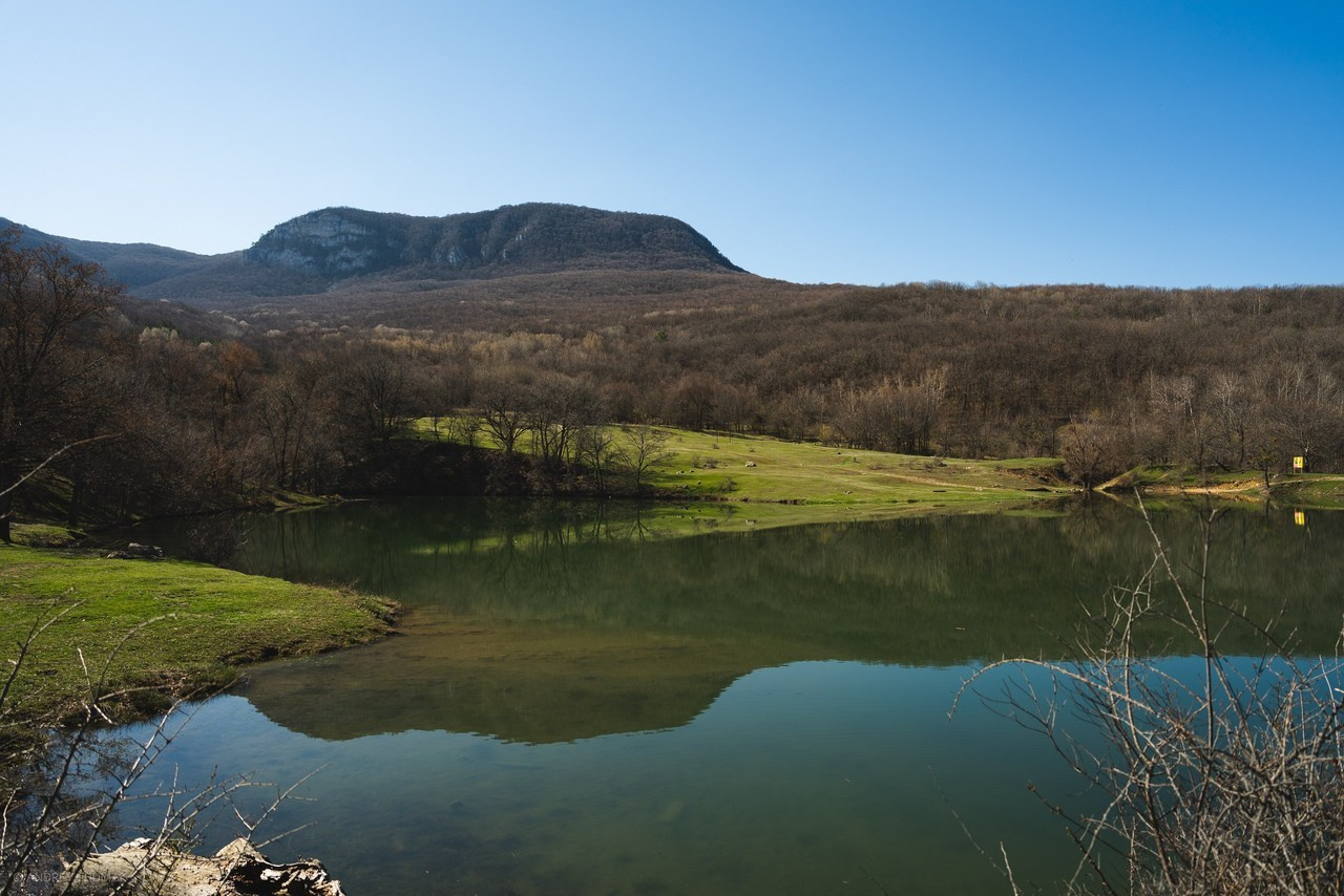 Отзывы. Универсальный фотограф по Крыму