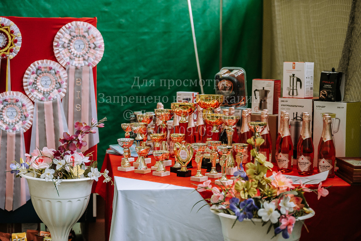 26.03.2022 Выставка собак г. Братск Континенталь. Фотограф Диана Оленина Красноярск / Братск