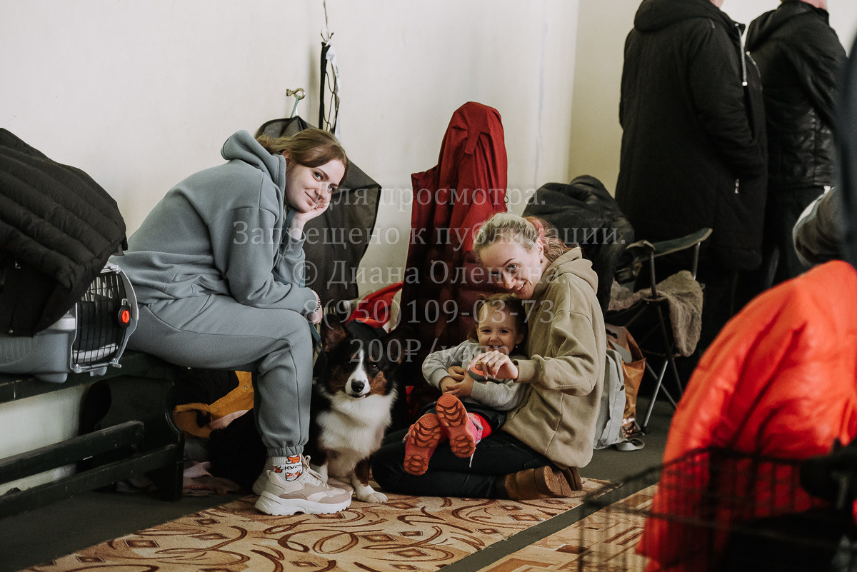 26.03.2022 Выставка собак г. Братск Континенталь. Фотограф Диана Оленина Красноярск / Братск