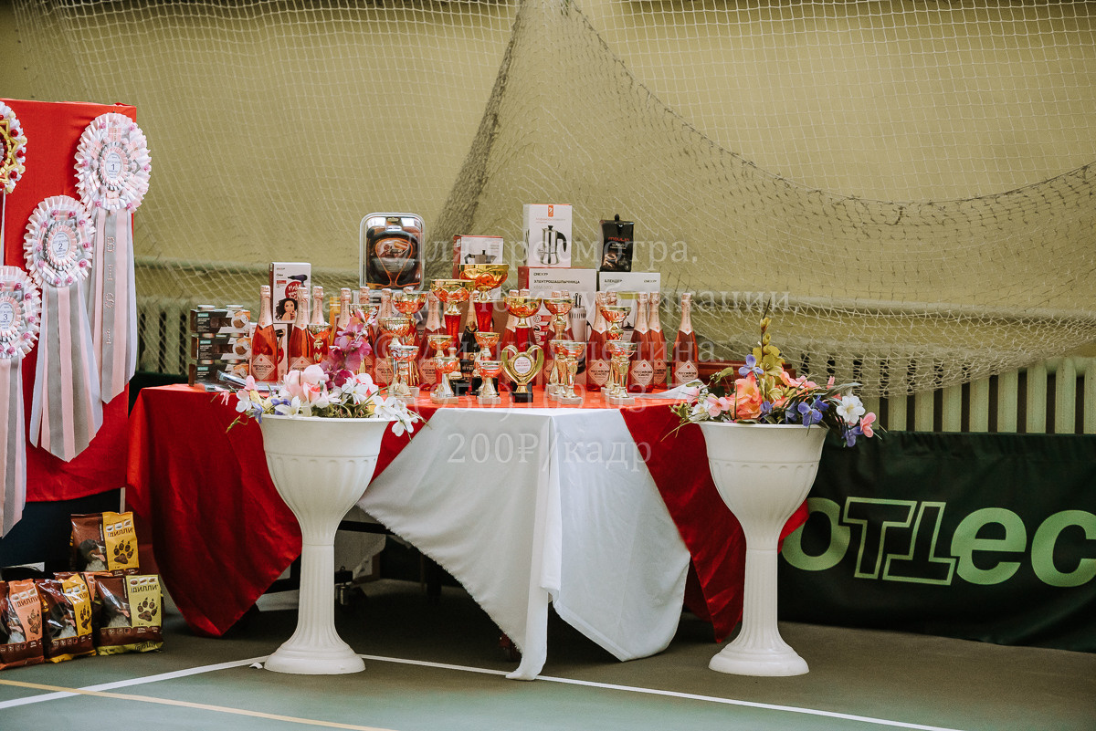 26.03.2022 Выставка собак г. Братск Континенталь. Фотограф Диана Оленина Красноярск / Братск