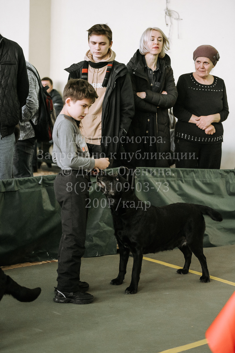 26.03.2022 Выставка собак г. Братск Континенталь. Фотограф Диана Оленина Красноярск / Братск