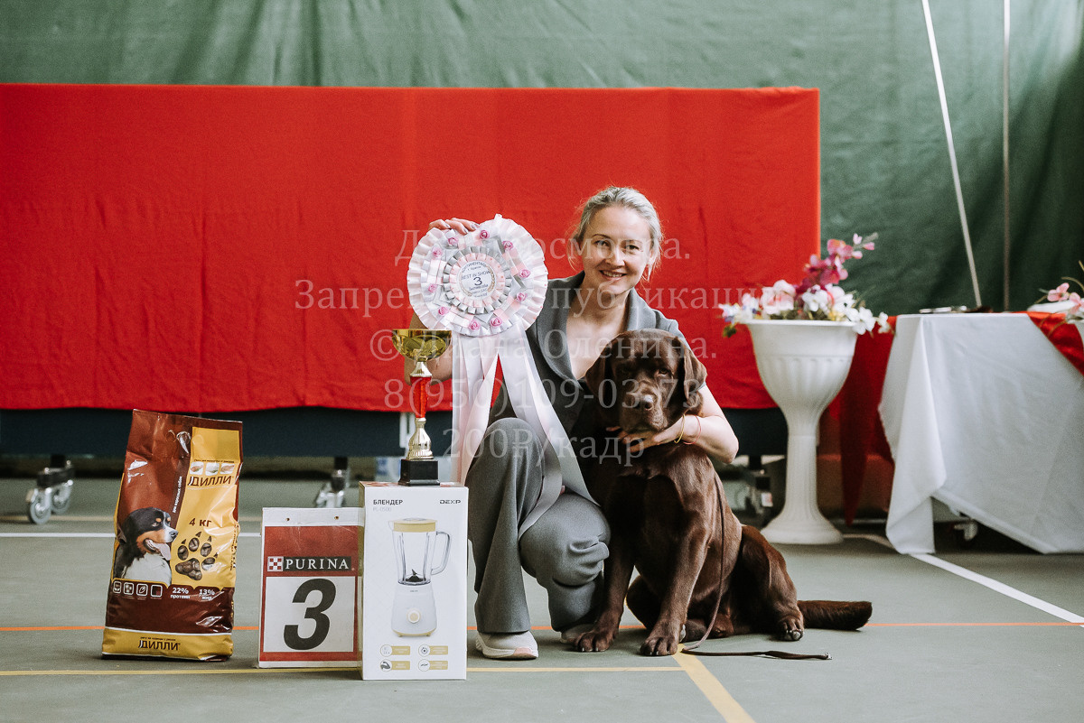 26.03.2022 Выставка собак г. Братск Континенталь. Фотограф Диана Оленина Красноярск / Братск
