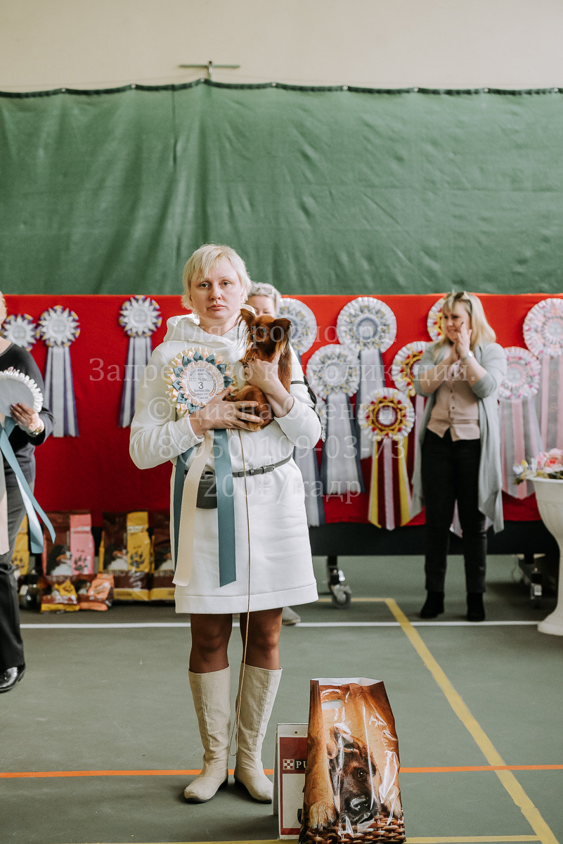 26.03.2022 Выставка собак г. Братск Континенталь. Фотограф Диана Оленина Красноярск / Братск